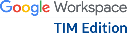 Google Workspace TIM Edition